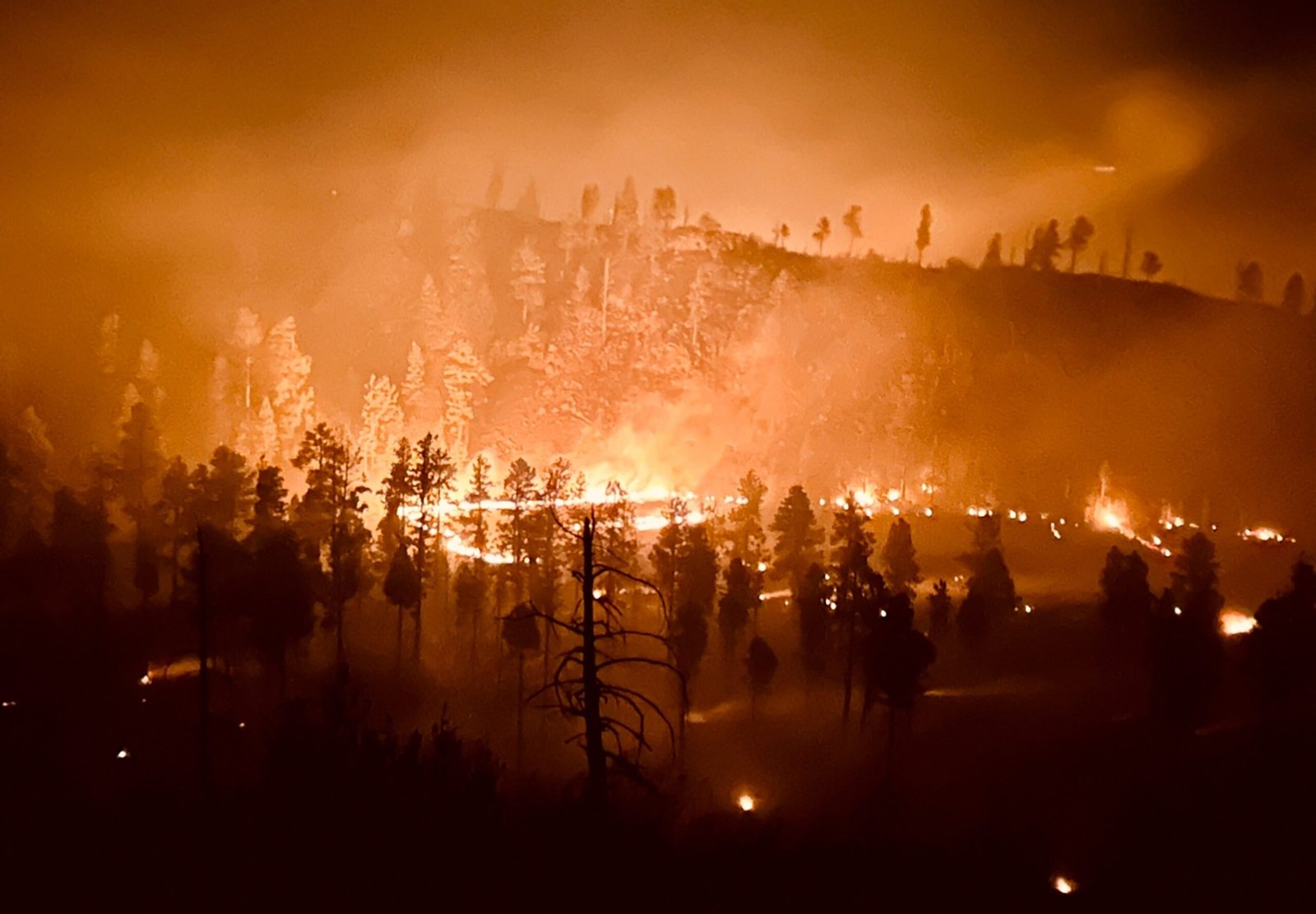 Greer Fire expands to 20,000 acres, more than 700 personnel fighting against the flames

