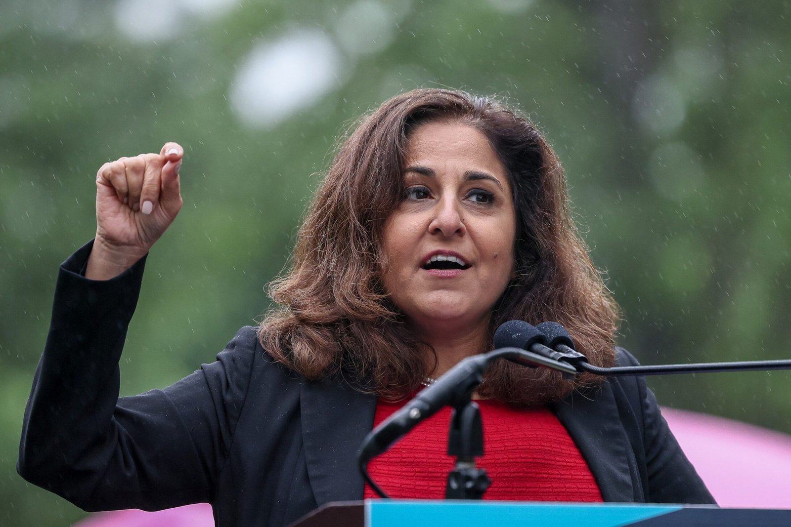 The former assistant Tanden appears before the committee of the House of Representatives that investigates the mental acuity of Biden