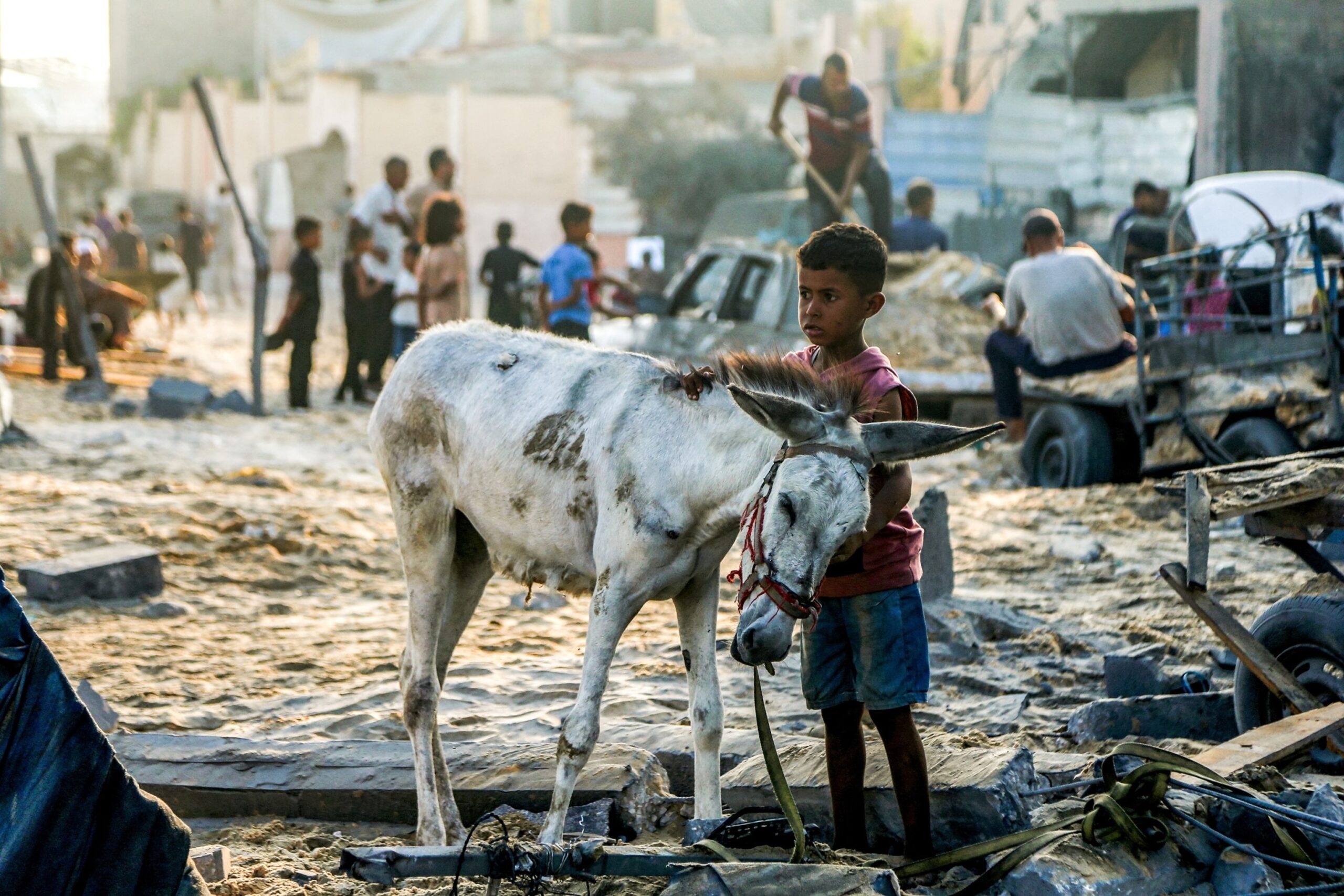 14 people die from malnutrition in Gaza, says the Ministry of Health

