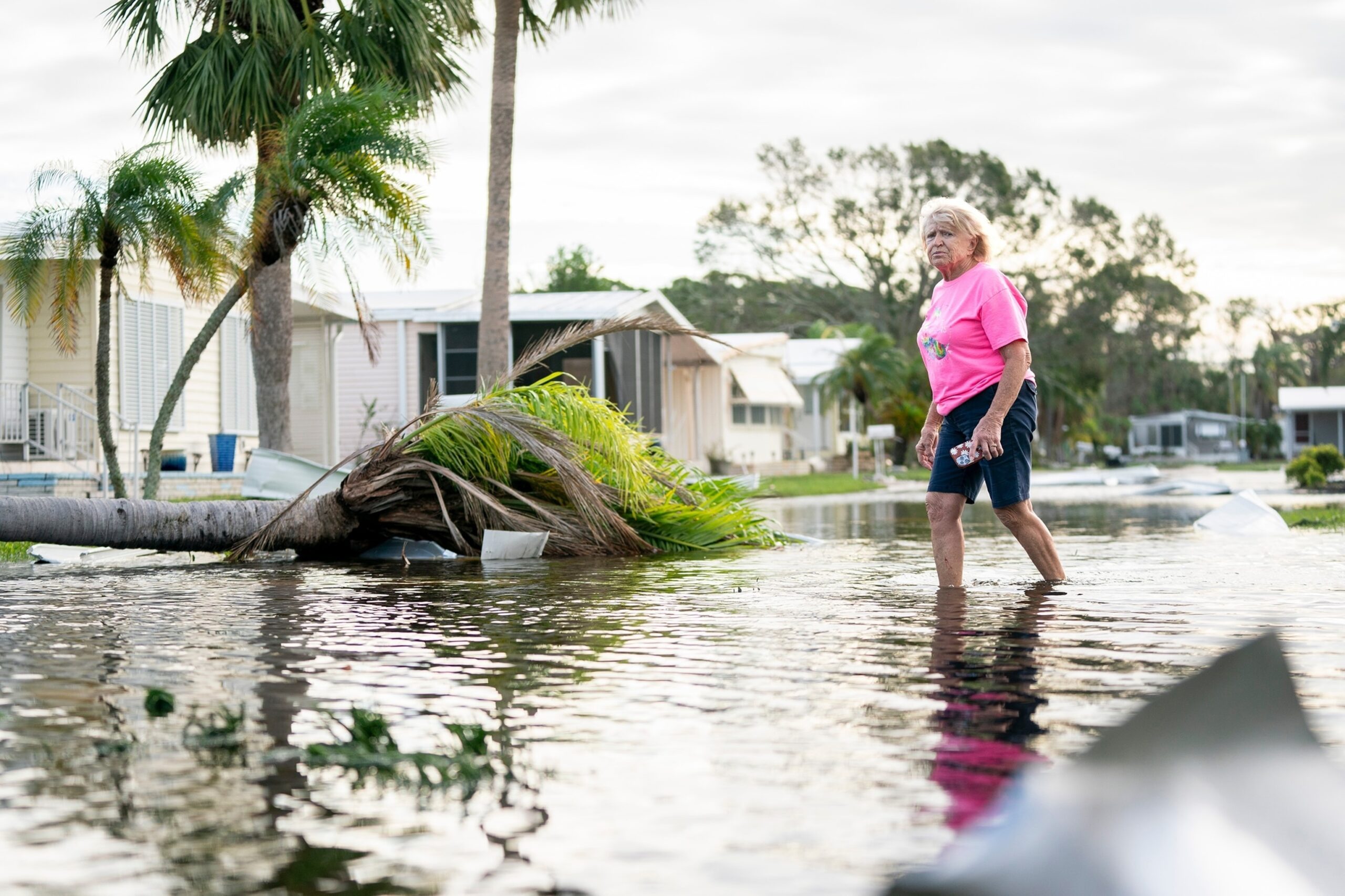 Now is the maximum hurricanes season: what to expect for storms in the Atlantic


