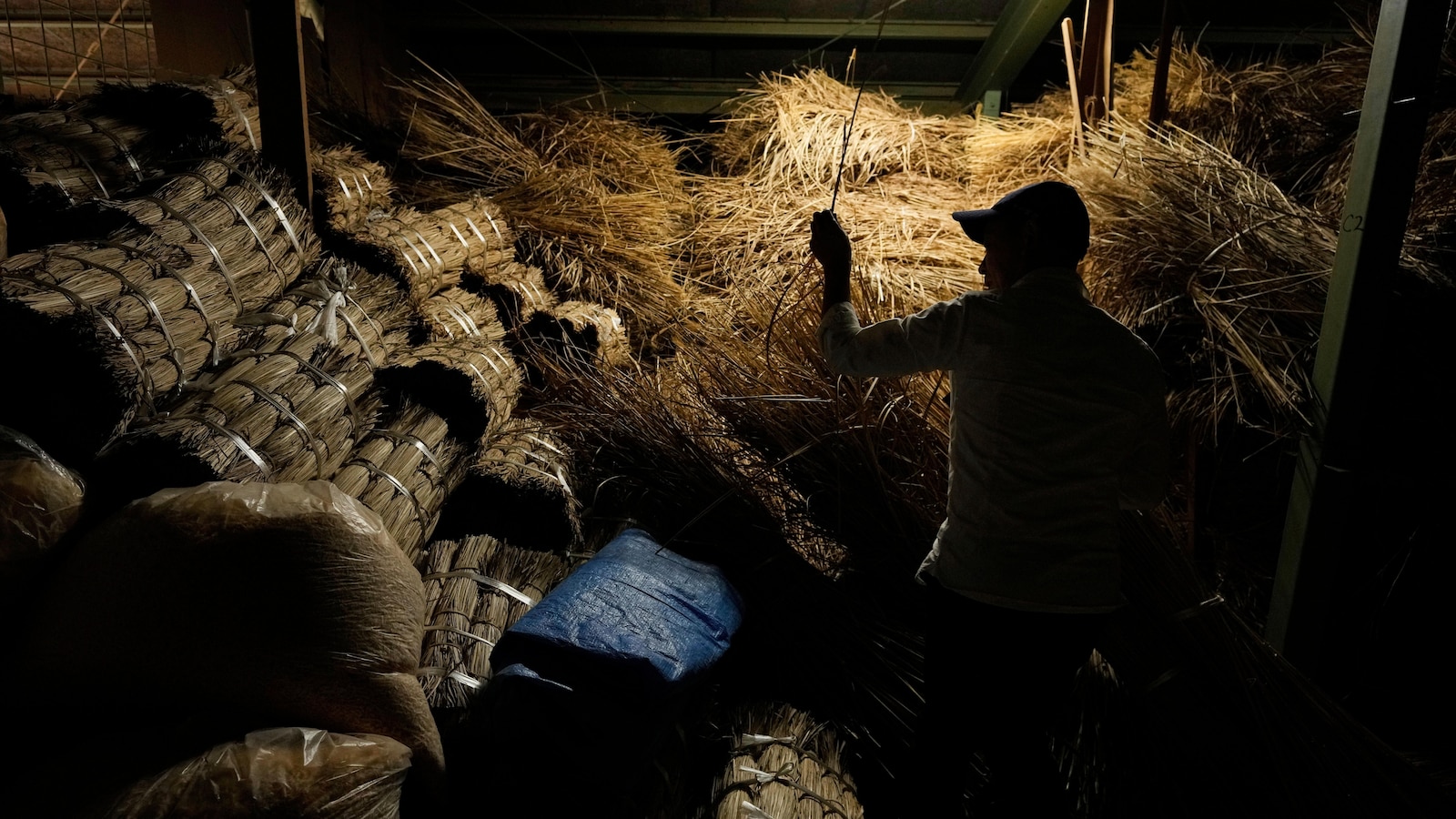 Photos show historic Japanese shrine that is torn down and rebuilt every 20 years