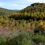 Missing West Virginia coal miner found dead, governor says